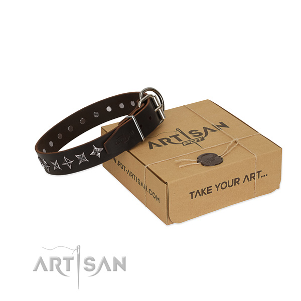 Everyday walking dog collar of fine quality natural leather with studs