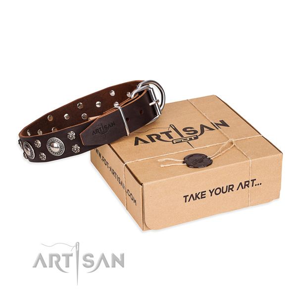 Everyday use dog collar of fine quality natural leather with studs