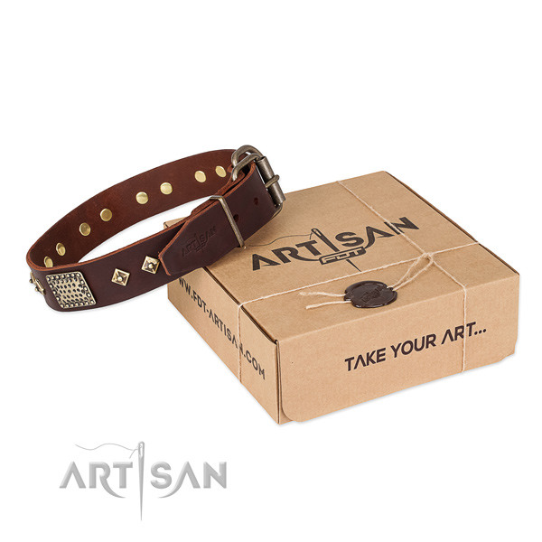 Adjustable genuine leather collar for your beautiful four-legged friend