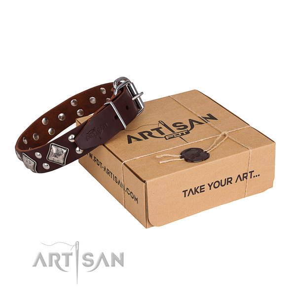 Daily walking dog collar with Inimitable rust-proof adornments