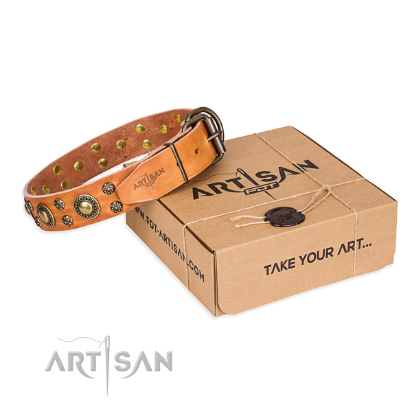 Daily use dog collar of best quality natural leather with decorations