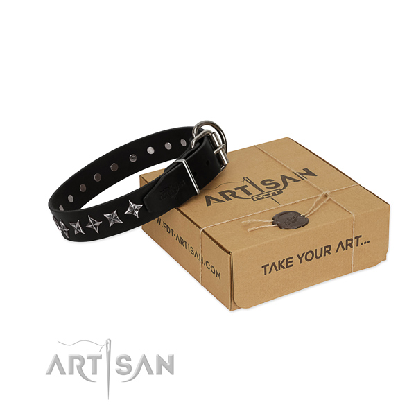 Stylish walking dog collar of durable full grain natural leather with embellishments