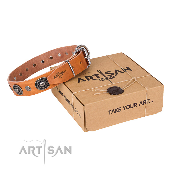 Strong leather dog collar made for daily walking