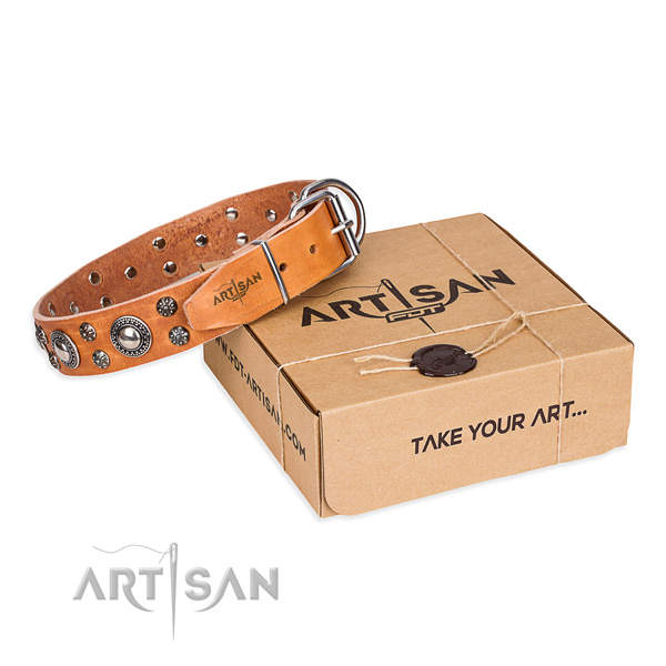 Everyday walking dog collar of high quality leather with adornments