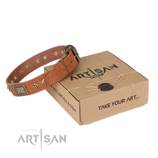 Perfect fit leather collar for your impressive pet