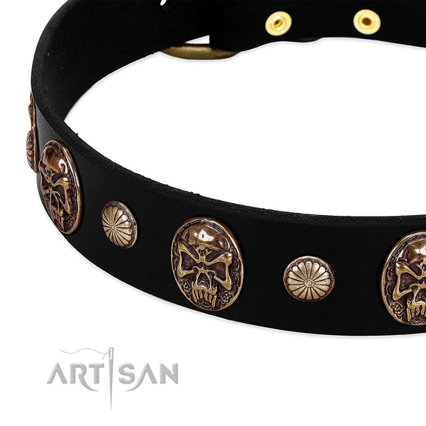 Full grain genuine leather dog collar with stylish adornments