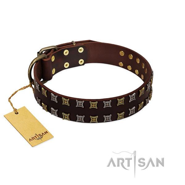 Strong full grain leather dog collar with adornments for your canine