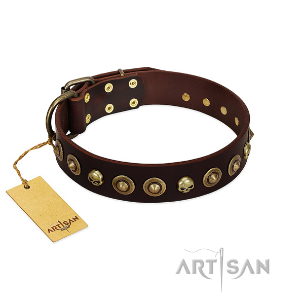 Full grain genuine leather collar with amazing studs for your pet