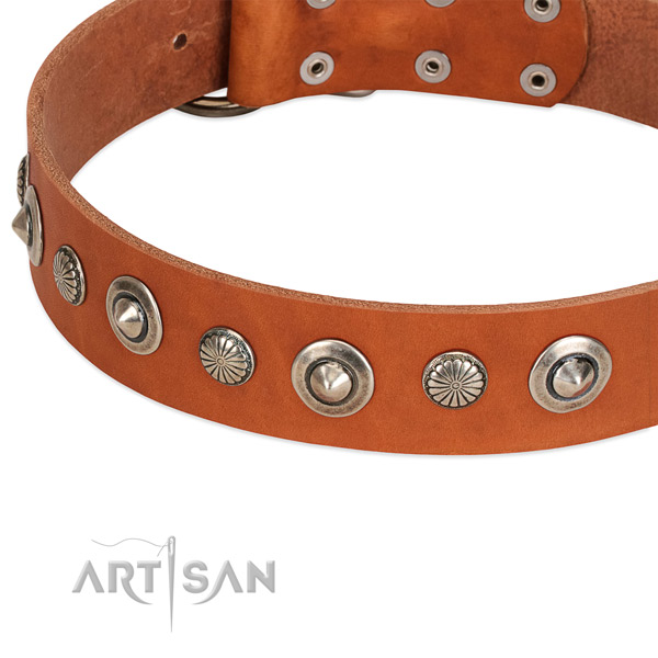 Natural leather collar with corrosion resistant hardware for your stylish dog