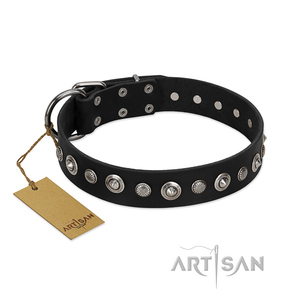 Durable full grain leather dog collar with unusual adornments