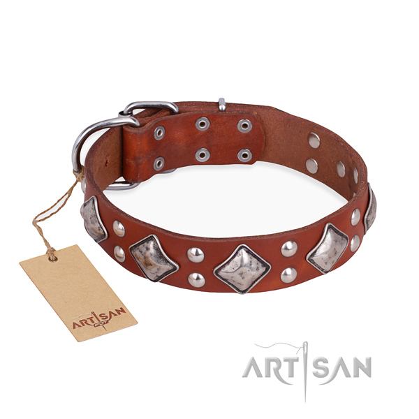 Daily walking remarkable dog collar with rust-proof traditional buckle