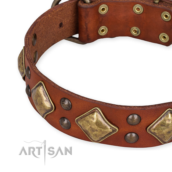 Full grain genuine leather collar with durable buckle for your attractive canine