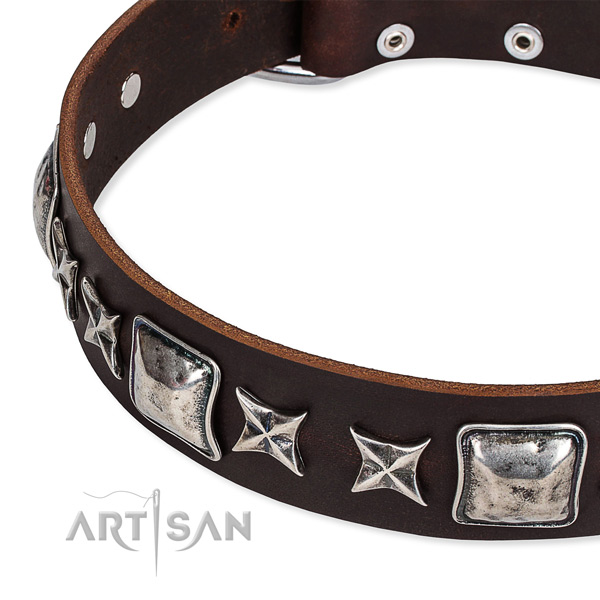 Handy use studded dog collar of reliable full grain genuine leather