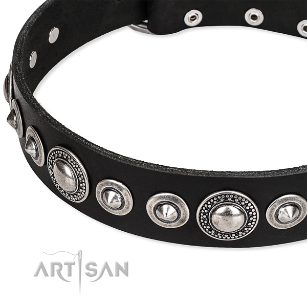 Everyday walking studded dog collar of strong full grain genuine leather