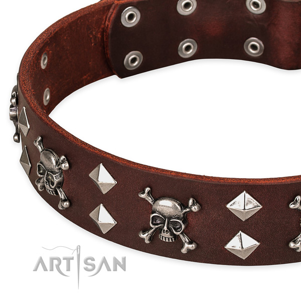 Daily walking studded dog collar of top notch natural leather