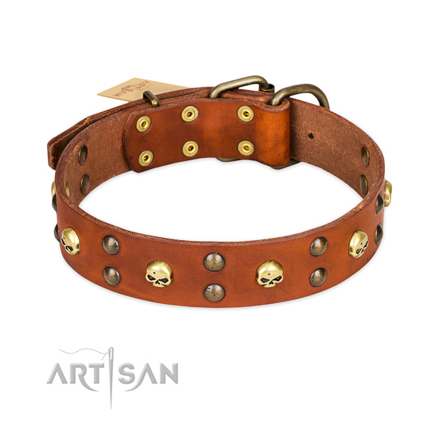 Everyday use dog collar of reliable leather with decorations