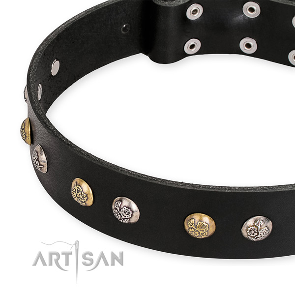 Leather dog collar with remarkable corrosion resistant adornments