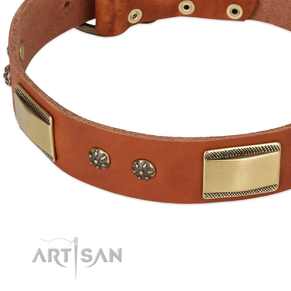 Corrosion proof studs on natural genuine leather dog collar for your doggie