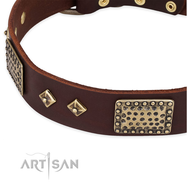 Rust resistant adornments on full grain genuine leather dog collar for your canine