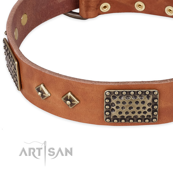 Reliable traditional buckle on leather dog collar for your four-legged friend