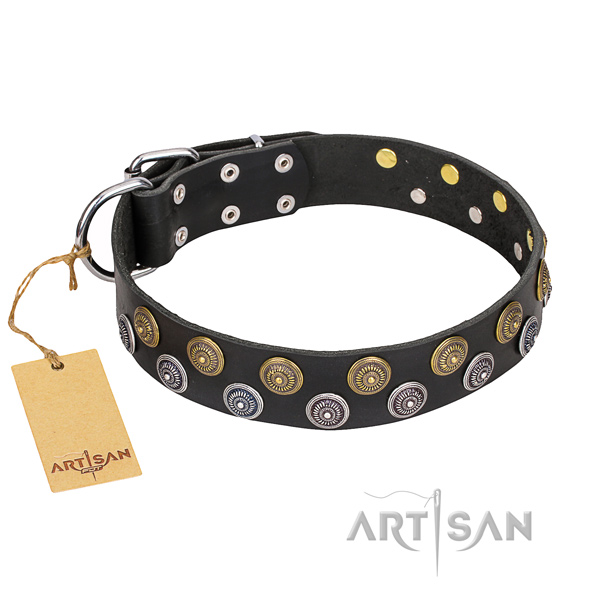 Walking dog collar of high quality genuine leather with adornments