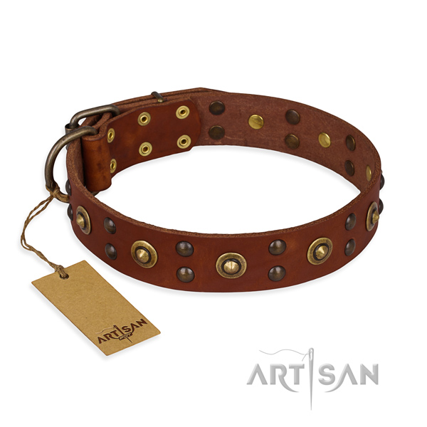 Adorned leather dog collar with durable traditional buckle