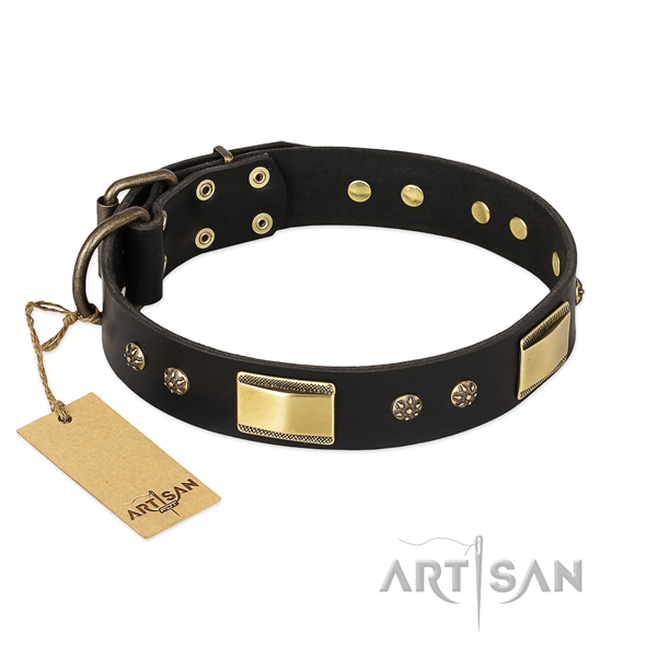 Embellished genuine leather dog collar for fancy walking