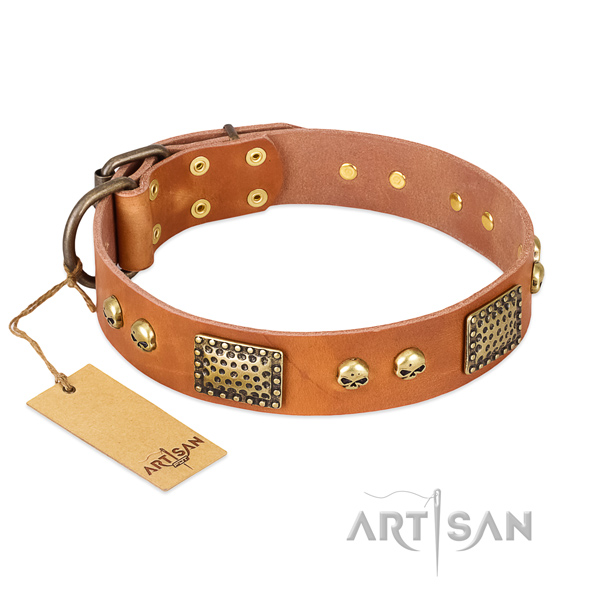 Easy to adjust natural leather dog collar for walking your four-legged friend