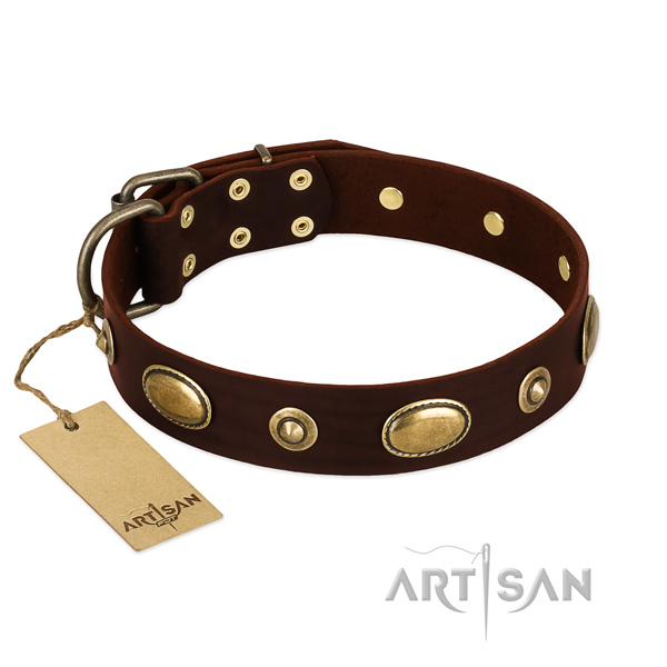 Fine quality leather collar for your dog