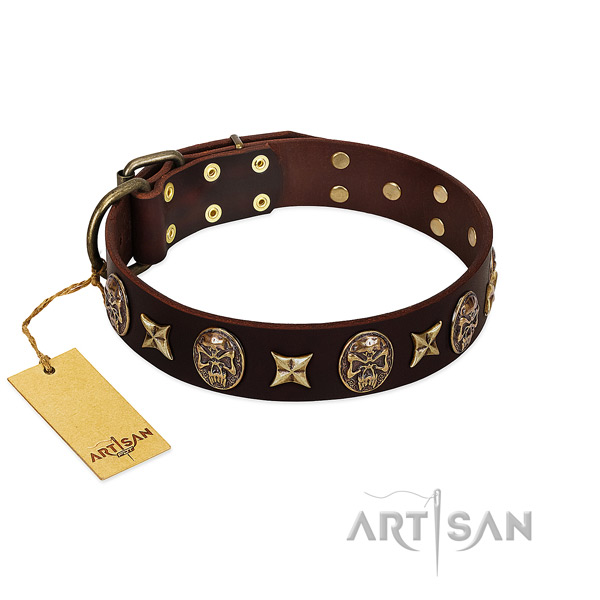 Top notch leather collar for your canine