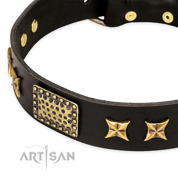 Full grain leather collar with rust-proof buckle for your lovely pet