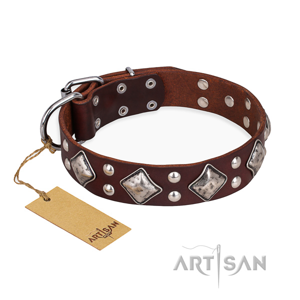Fancy walking adorned dog collar with durable fittings