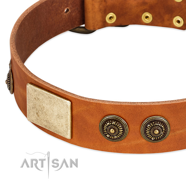 Handcrafted dog collar crafted for your impressive dog