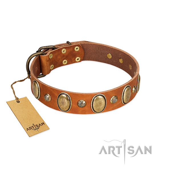 Natural leather dog collar of top notch material with impressive adornments