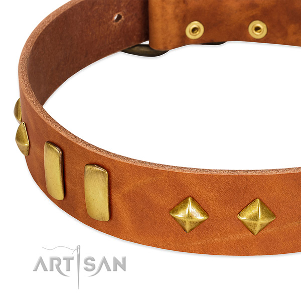 Daily use full grain leather dog collar with top notch embellishments