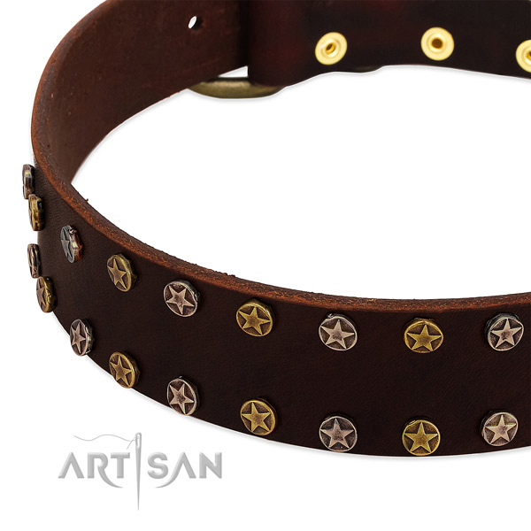 Daily walking full grain natural leather dog collar with inimitable decorations