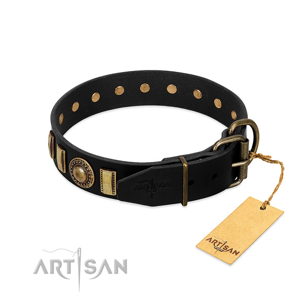 Soft to touch genuine leather dog collar with embellishments
