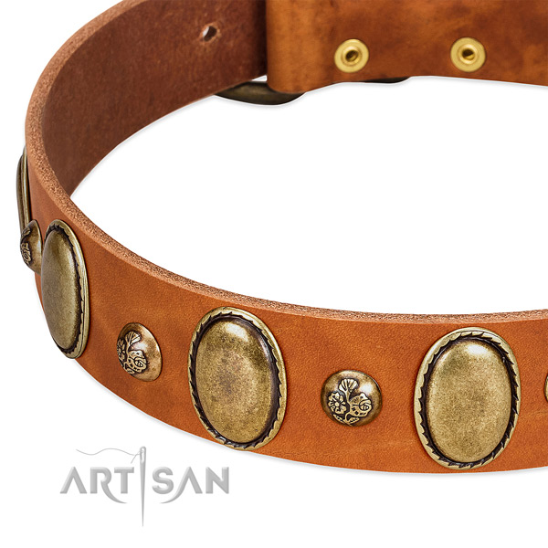Full grain leather dog collar with unusual decorations