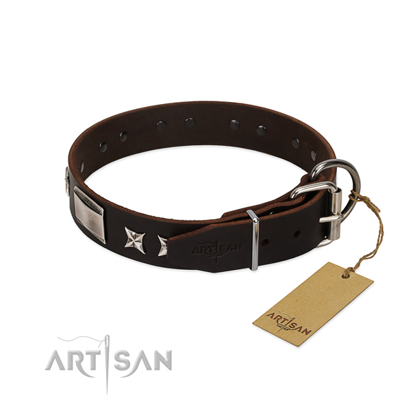 Unusual collar of full grain natural leather for your stylish four-legged friend