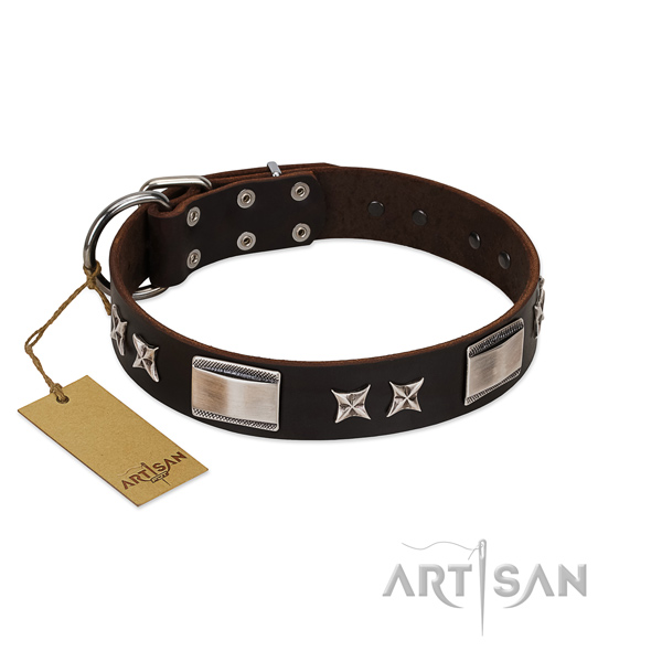 Comfortable dog collar of full grain leather