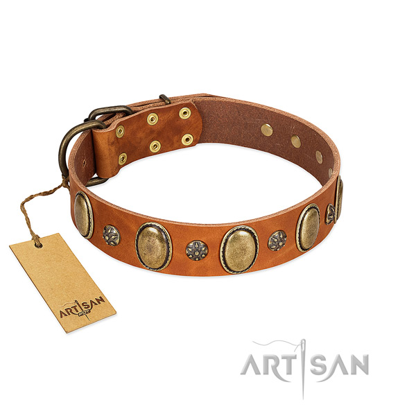 Walking reliable genuine leather dog collar with embellishments
