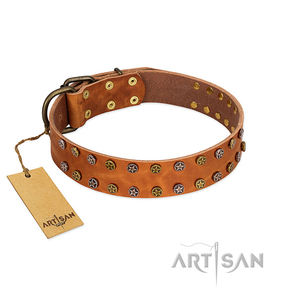 Easy wearing reliable natural leather dog collar with embellishments