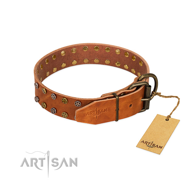 Fancy walking natural leather dog collar with awesome decorations