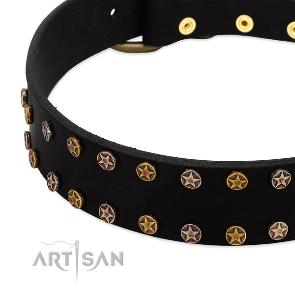Exquisite embellishments on leather collar for your pet