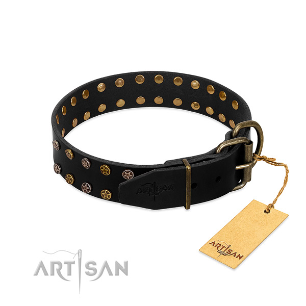 Natural leather collar with exceptional adornments for your doggie