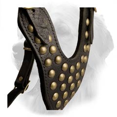 Brass Studs on Leather Golden Retriever Harness