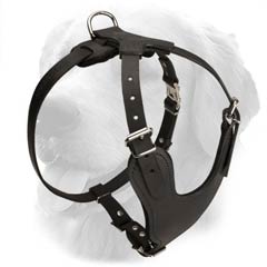 Durable Leather Dog Harness
