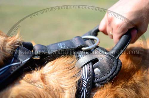 Comfortable Handle on Leather Dog Harness