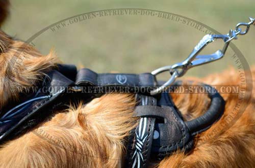 Harness for Active Dogs