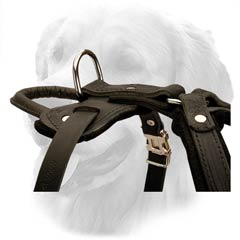 Leather Harness with Wide Straps